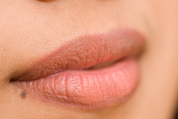 Obraz premium Beautiful Female lips