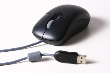 The computer mouse