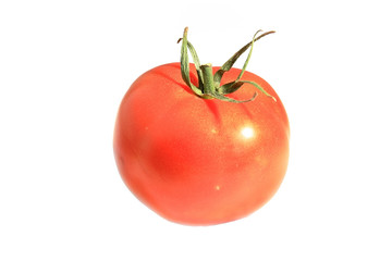 The fresh red tomato