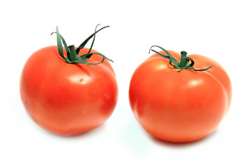 The fresh red tomato