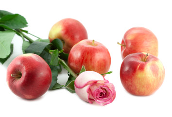 Rose and apples on white background