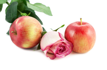 Rose and apples on white background