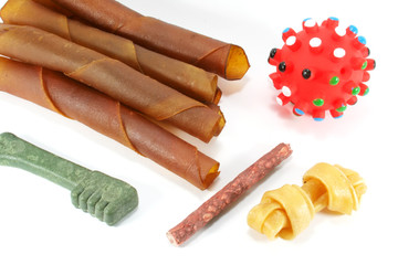 Dog Playthings