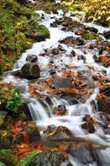 Fototapeta na wymiar Autumn waterfall