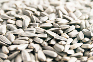 Sunflower Seed