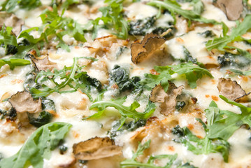 italian pizza with truffels