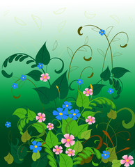 Fototapeta na wymiar floral fantasy