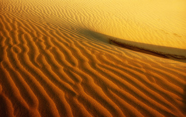 desert sahara