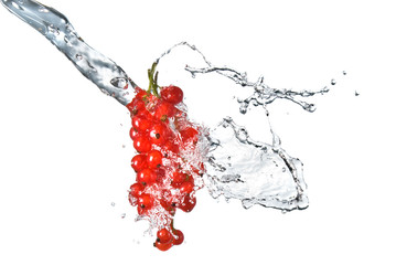 redcurrant and water drops isolated on white