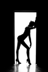 Outlines of a beautiful young woman