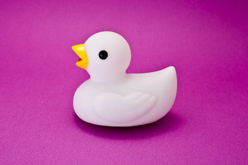 canard de bain