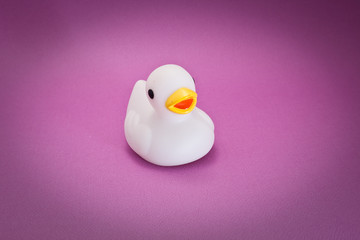 Canard en plastique
