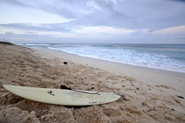 surfers beach