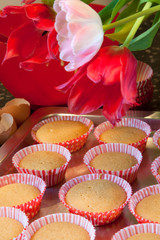 Baking cup cakes