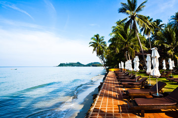 Umbrellas and chairs on sand beach in tropic