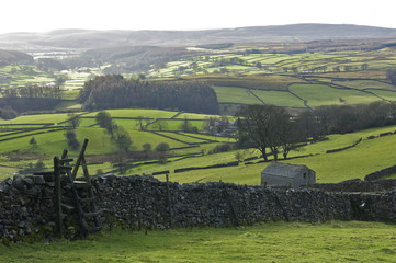 Landscape near Appletreewick. Yorkshire / England.