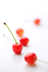 cherry