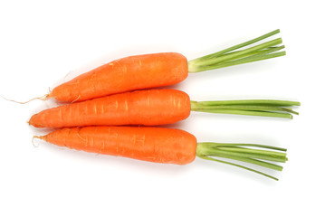Three carrots isolated on a white background
