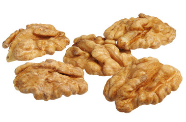 walnut (Juglans regia)