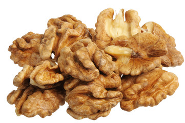 walnut (Juglans regia)