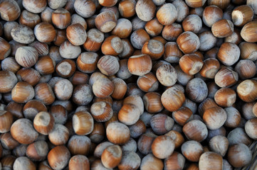 nocciole