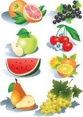 Various juicy fruits on a white background.