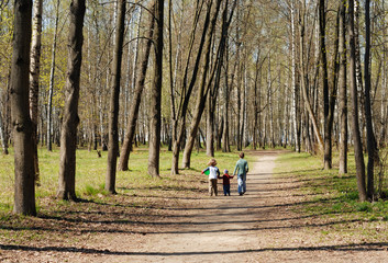 Fototapeta premium Walk in the Park