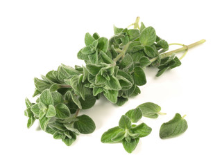 Oregano