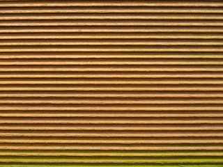 golden wood texture