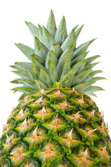 Fototapeta premium Pineapple in perspective