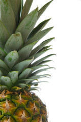 fragment Of Pineapple