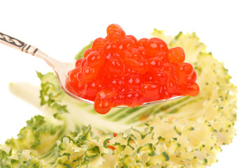 Red caviar on a spoon