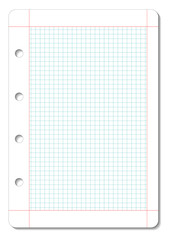 Blank squared paper design