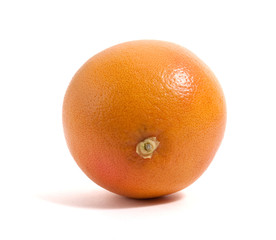 grapefruit