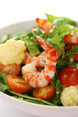 shrimp salad
