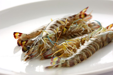 japanese tiger prawns
