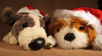 Two Toy-Dogs waiting for Xmas 02