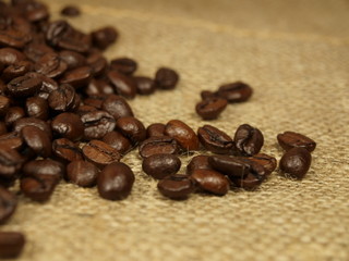 Coffee beans background