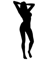 Sexy Woman Silhouette 04