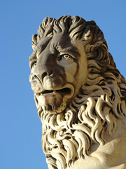 Fototapeta na wymiar artistic sculpture of lion from Florence, Boboli Gardens