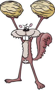 Sqirrel with nuts