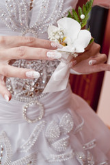 Bride's orchid