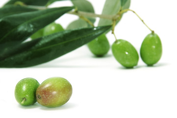 olivas