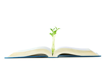 Knowledge concept with books and seedlings