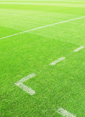 Fototapeta premium Soccer field