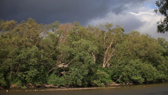 Wood,  river