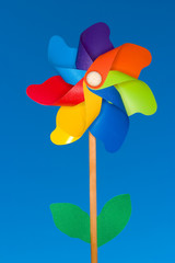 A stock Photograph of a colorful windmil toy.