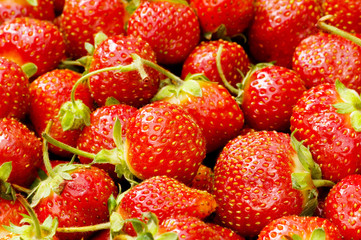 Lots of strawberries arranged as the background