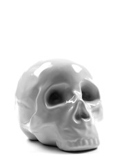 Human Skull