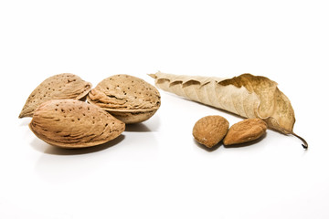 Almendras con hojas secas